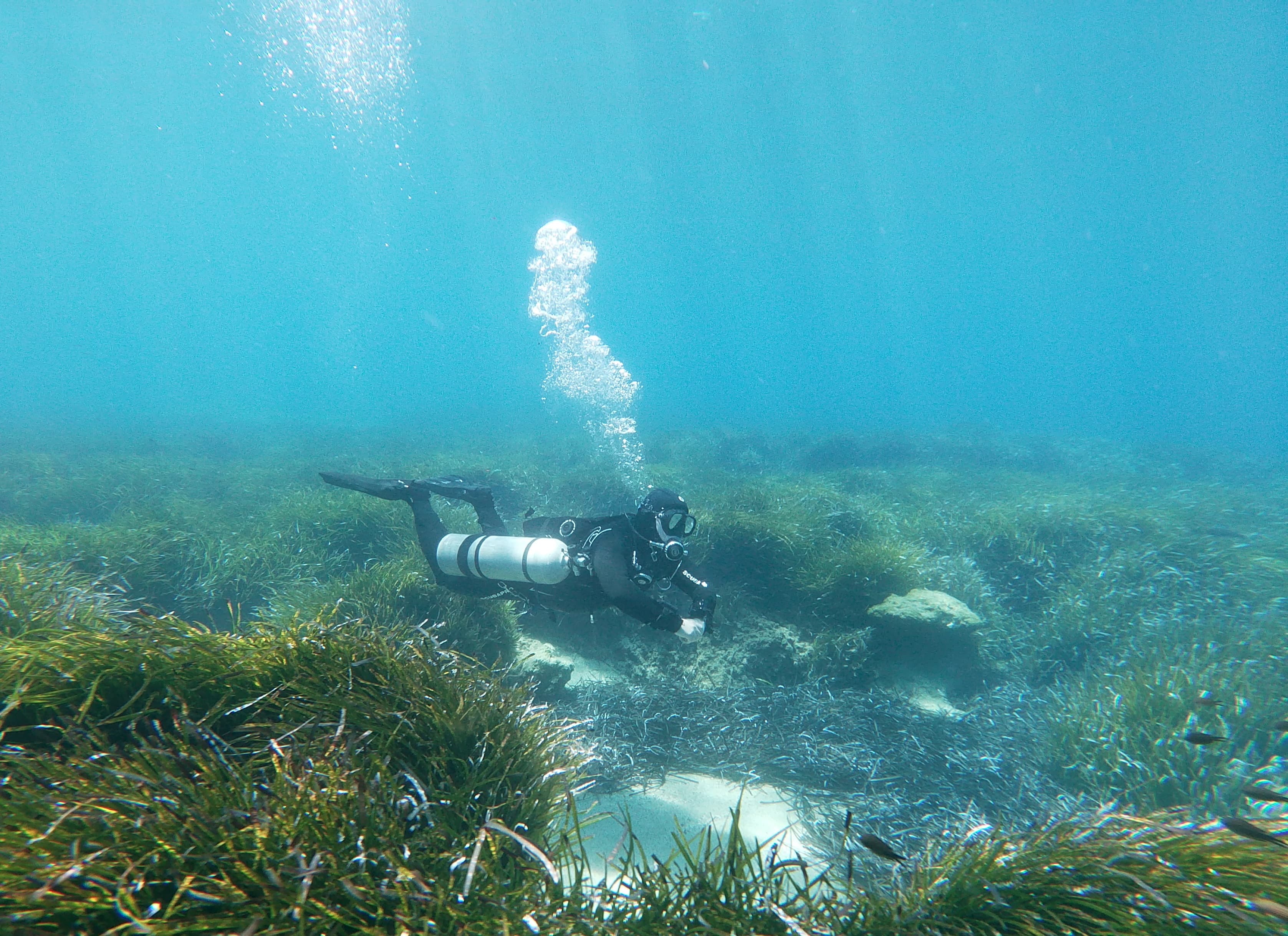Hero image of sidemount diver